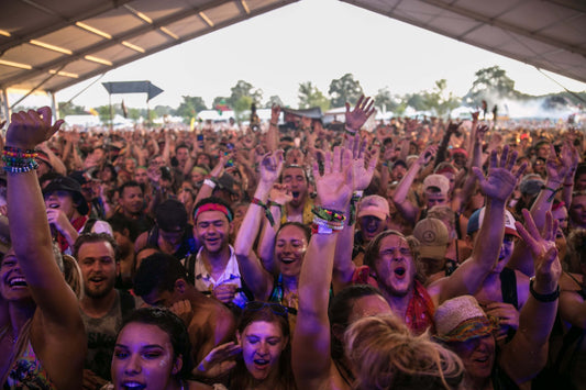 Festival goers in a festival crowd